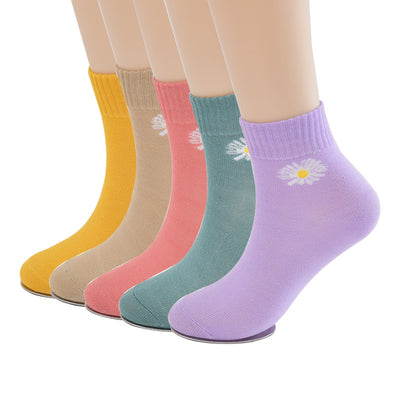 Bear Baby Socks