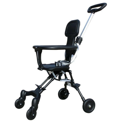 Two Way Stroller