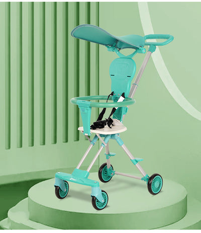Two-Way Stroller