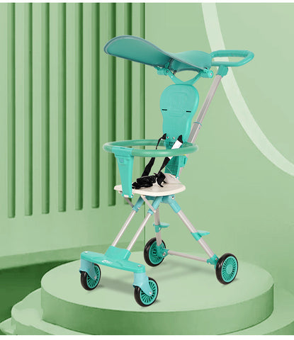 Two-Way Stroller