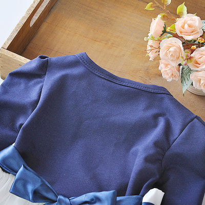 Baby Princess Dress