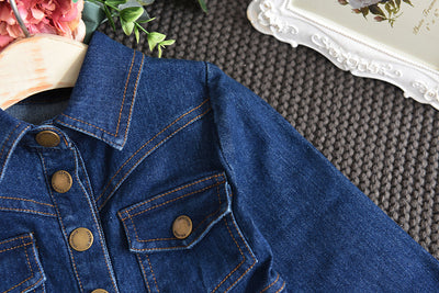 Toddler Denim Dress