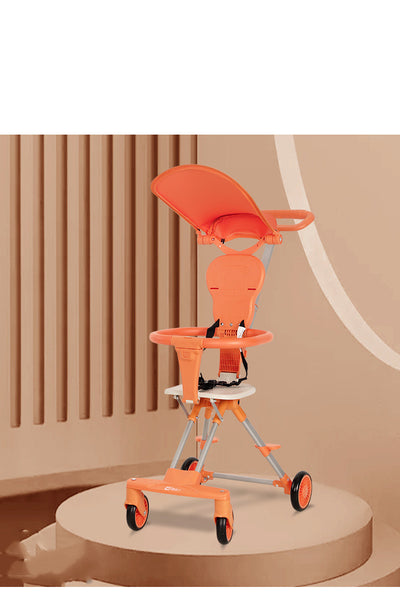Two-Way Stroller