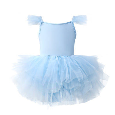 Mesh Dance Skirt