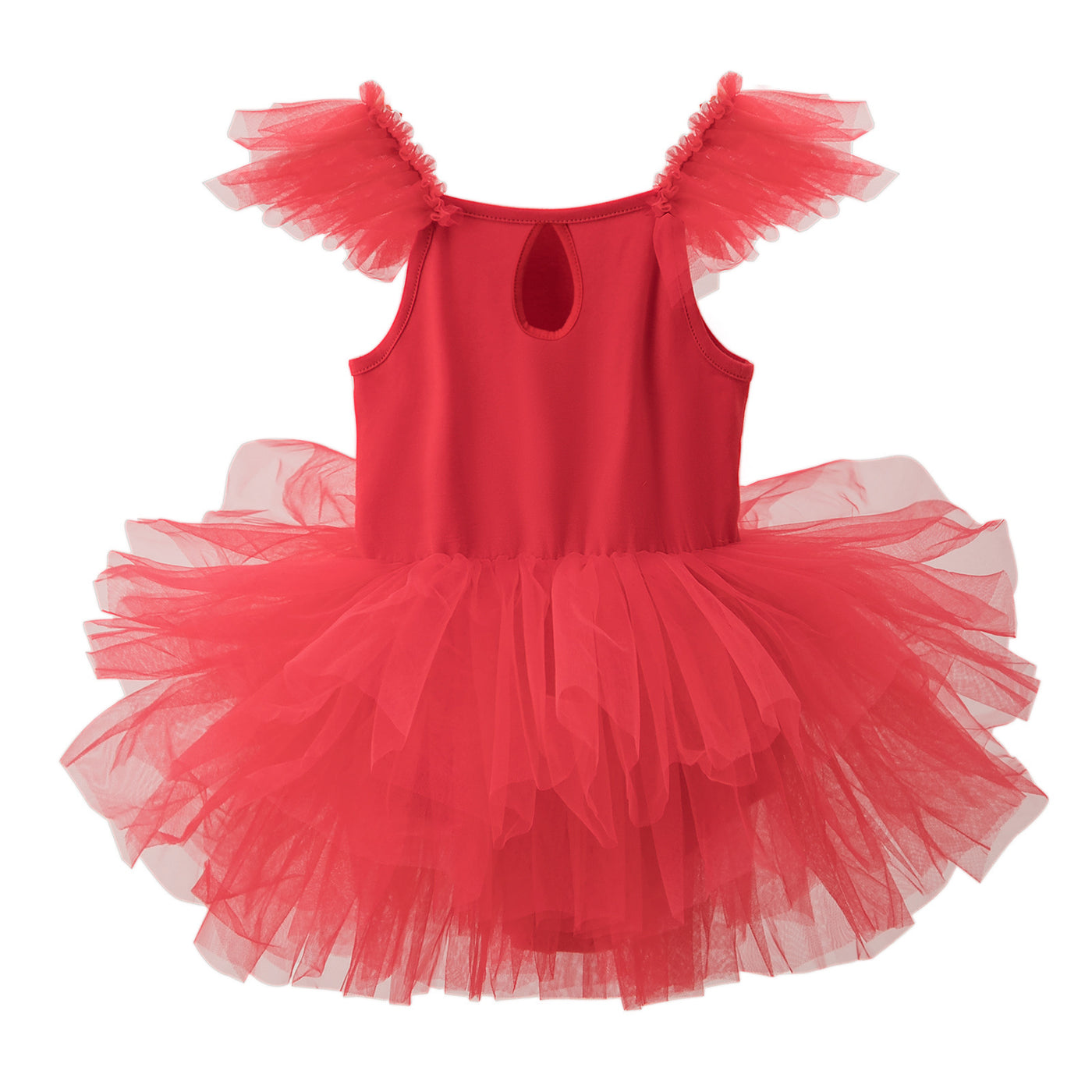 Mesh Dance Skirt