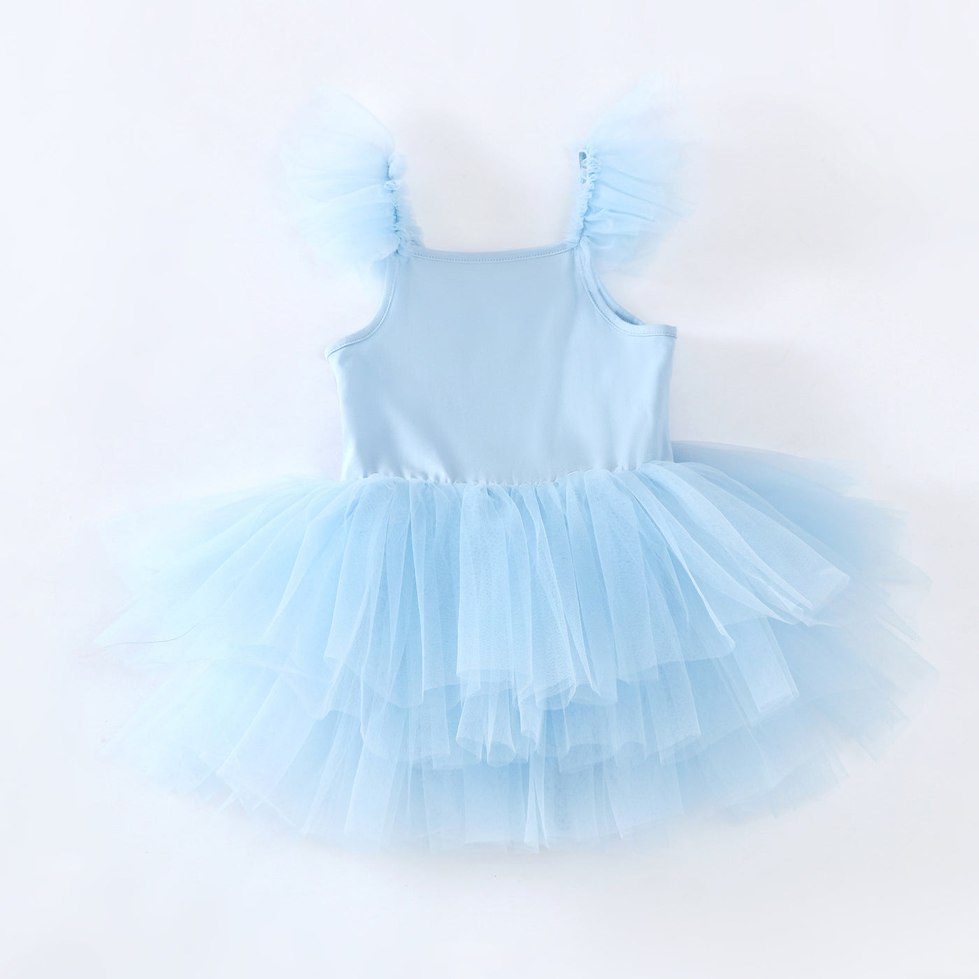 Mesh Dance Skirt