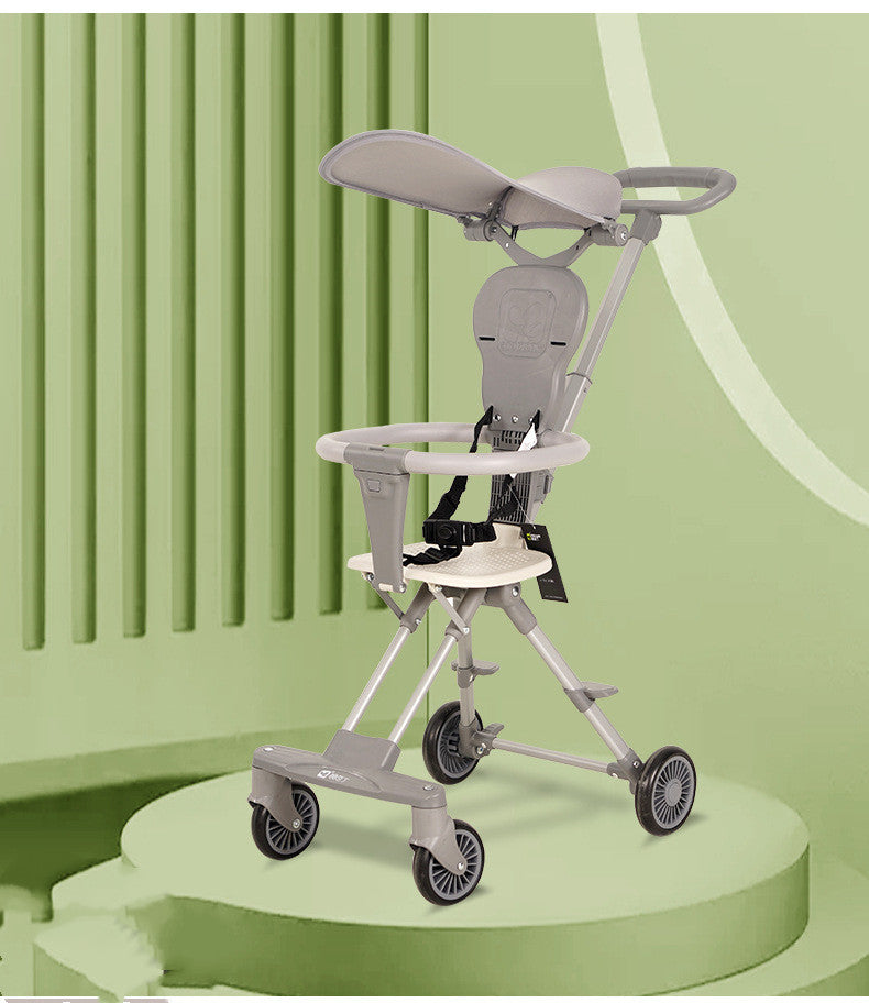 Two-Way Stroller