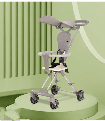 Two-Way Stroller